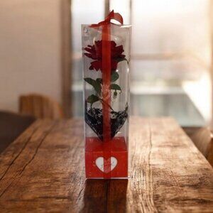 Light Up Red Rose in Clear Gift Box